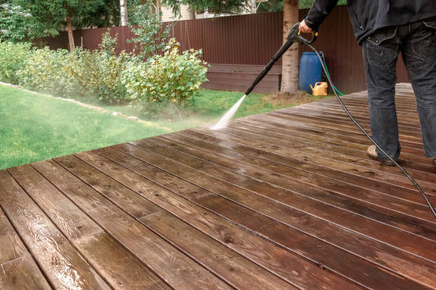 Best Driveway Pressure Washing  in Nanakuli, HI